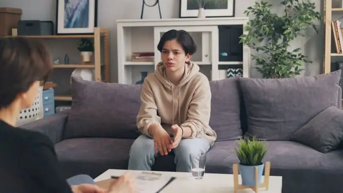 Teenager speaking to his therapist in a therapy session